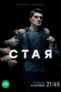 Постер Стая 