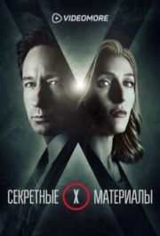 Секретные материалы 
