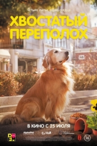 Постер Хвостатый переполох (Dogeu deijeu)