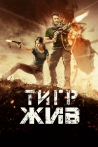 Постер Тигр жив (Tiger Zinda Hai)