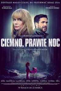 Постер Темно, почти ночь (Ciemno, prawie noc)