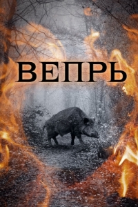 Постер Вепрь 