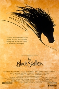 Постер Черный скакун (The Black Stallion)