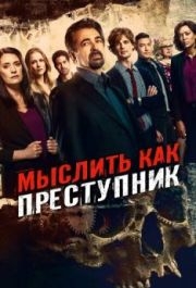 Мыслить как преступник (1-15 сезон) 
