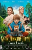 Постер Мой дикий друг (2024)