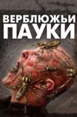 Постер Верблюжьи пауки (2011)