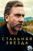 Постер Стальная звезда (2017)