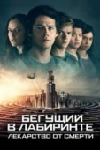 Постер Бегущий в лабиринте: Лекарство от смерти (2018)