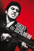 Постер Лицо со шрамом (1983)