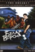 Постер Белая ворона (1999)