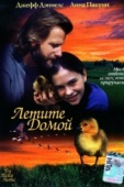 Постер Летите домой (1996)