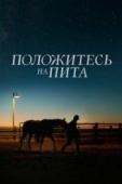 Постер Положитесь на Пита (2017)