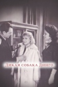 Постер Дикая собака динго (1962)