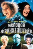 Постер Молодой Франкенштейн (1974)