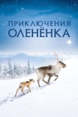 Постер Приключения олененка (2018)