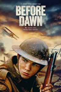 Постер Перед рассветом (Before Dawn)