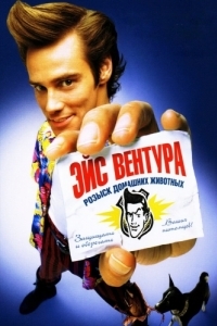 Постер Эйс Вентура: Розыск домашних животных (Ace Ventura: Pet Detective)