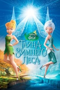 Постер Феи: Тайна зимнего леса (Secret of the Wings)