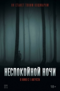 Постер Неспокойной ночи (Nightman)